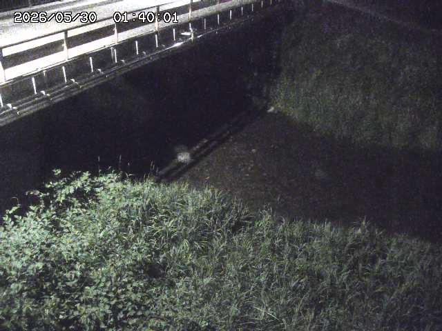 見槻川１2026/05/30 3:30:00