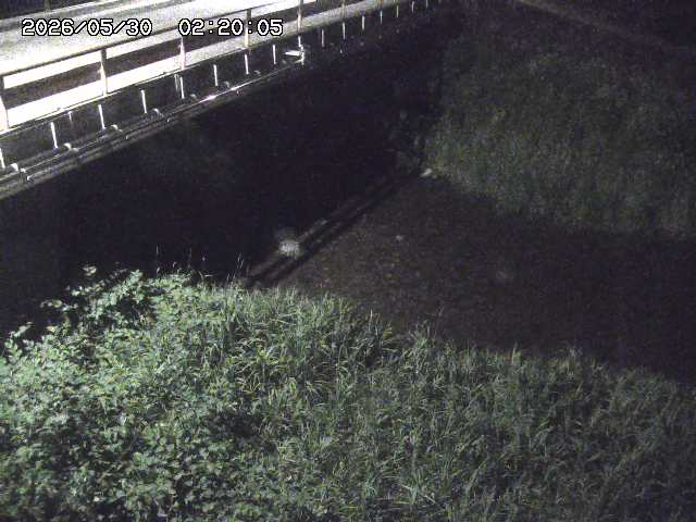 見槻川１2026/05/30 3:30:00