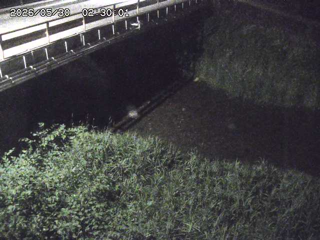 見槻川１2026/05/30 3:30:00