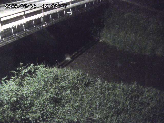 見槻川１2026/05/30 3:30:00