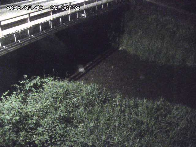 見槻川１2026/05/30 3:30:00