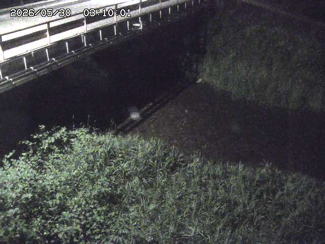 見槻川１2026/05/30 3:30:00