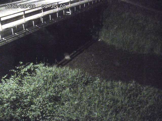 見槻川１2026/05/30 3:30:00