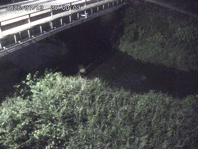 見槻川１2026/07/14 15:20:00