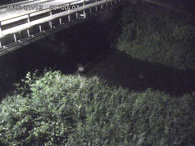 見槻川１2026/07/14 15:20:00