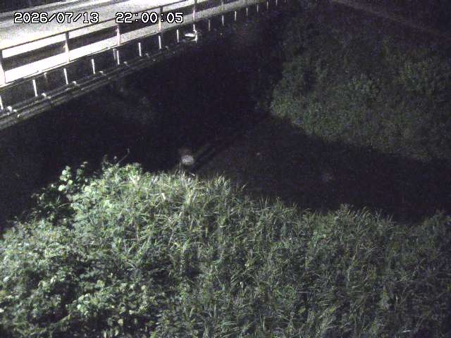 見槻川１2026/07/14 15:20:00