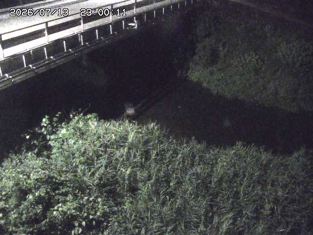 見槻川１2026/07/14 15:20:00
