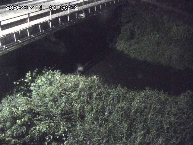 見槻川１2026/07/14 15:20:00