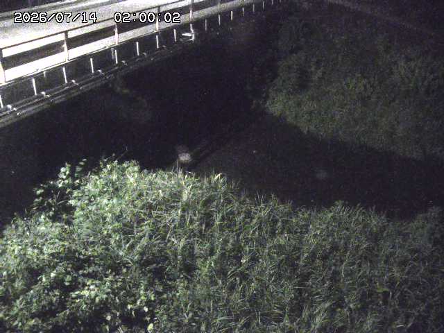 見槻川１2026/07/14 15:20:00