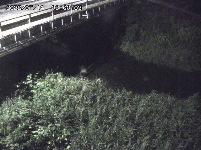 見槻川１2026/07/14 15:20:00