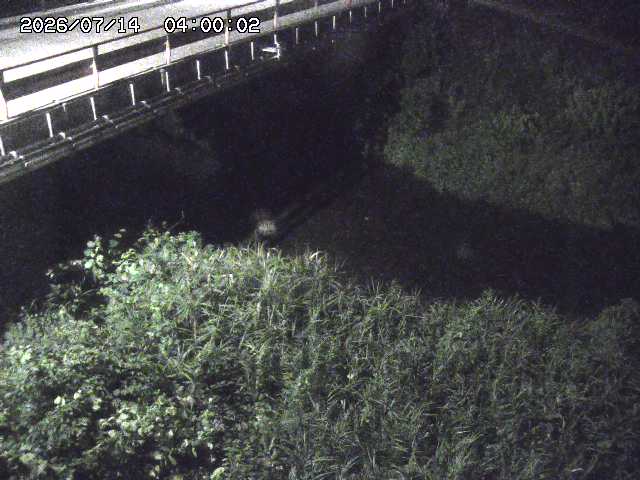見槻川１2026/07/14 15:20:00