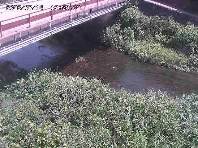 見槻川１2026/07/14 15:20:00