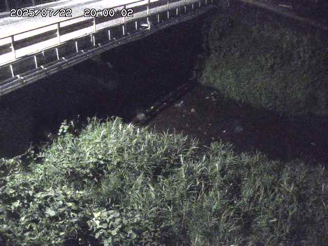 見槻川１2025/07/23 13:00:00