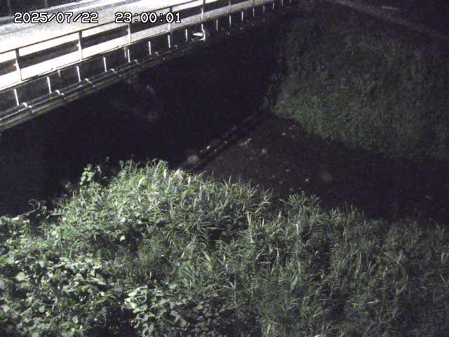 見槻川１2025/07/23 13:00:00