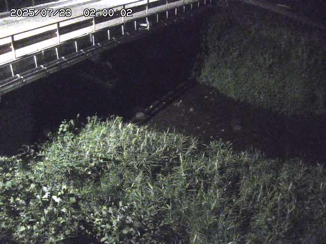 見槻川１2025/07/23 13:00:00