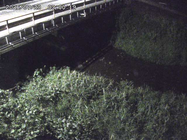 見槻川１2025/07/23 13:00:00
