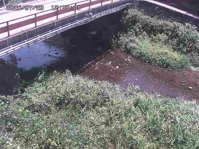 見槻川１2025/07/23 13:00:00