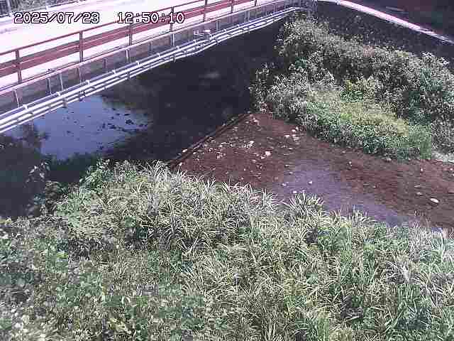 見槻川１2025/07/23 13:00:00