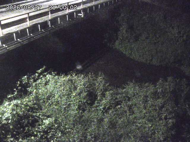 見槻川１2026/08/28 17:30:00