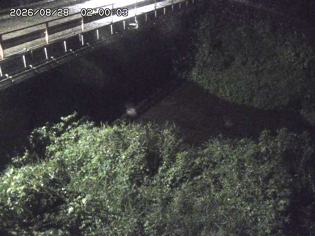 見槻川１2026/08/28 17:30:00