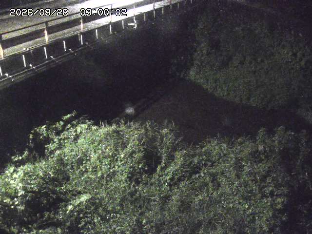 見槻川１2026/08/28 17:30:00