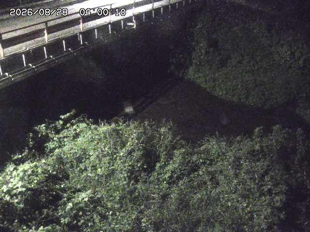 見槻川１2026/08/28 17:30:00