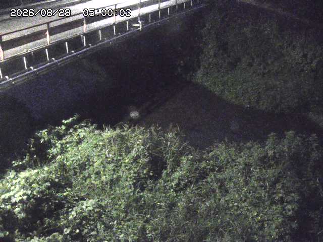 見槻川１2026/08/28 17:30:00
