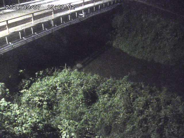 見槻川１2025/09/08 9:40:00