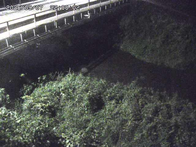 見槻川１2025/09/08 9:40:00