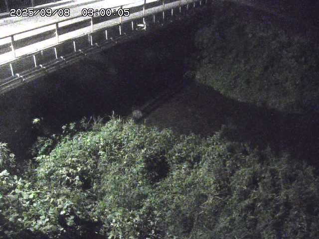 見槻川１2025/09/08 9:40:00