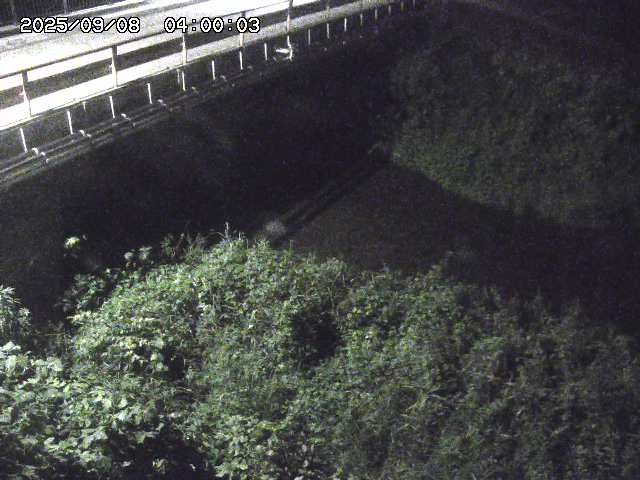 見槻川１2025/09/08 9:40:00