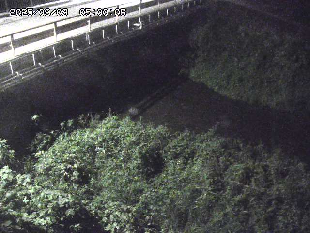 見槻川１2025/09/08 9:40:00