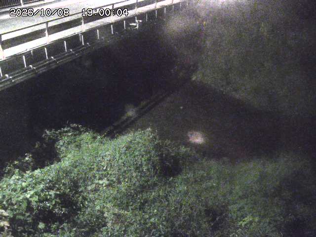 見槻川１2026/10/09 19:40