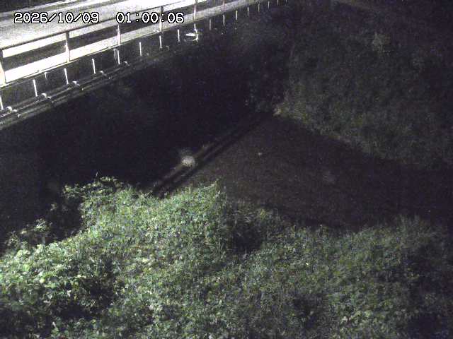 見槻川１2026/10/09 19:40