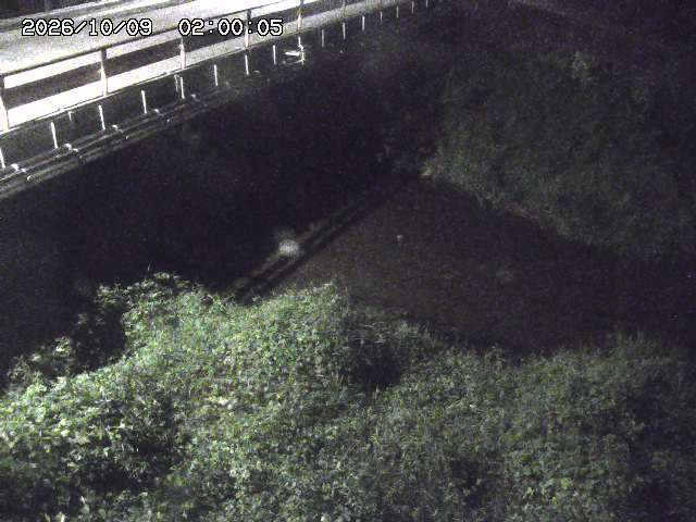 見槻川１2026/10/09 19:40