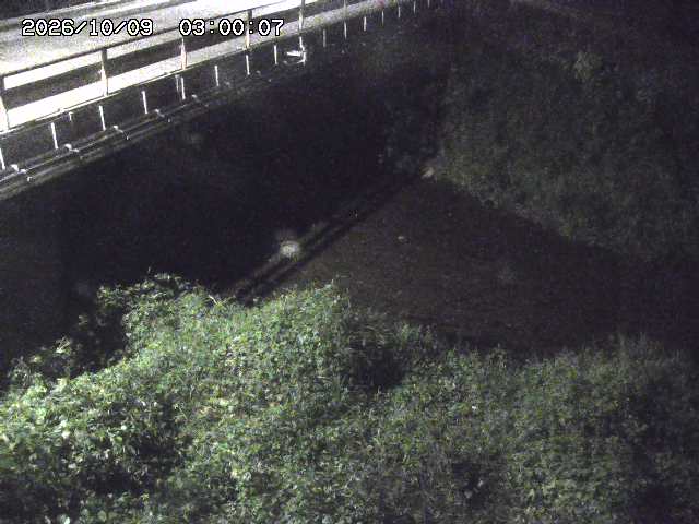 見槻川１2026/10/09 19:40