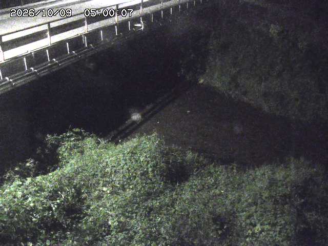見槻川１2026/10/09 19:40