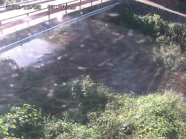 見槻川１2026/10/09 19:40