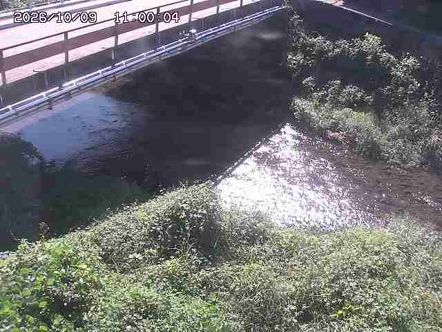 見槻川１2026/10/09 19:40
