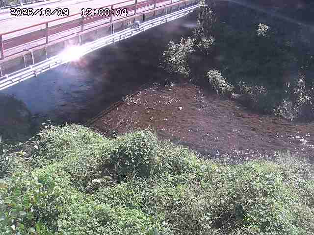 見槻川１2026/10/09 19:40
