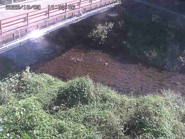 見槻川１2026/10/09 19:40