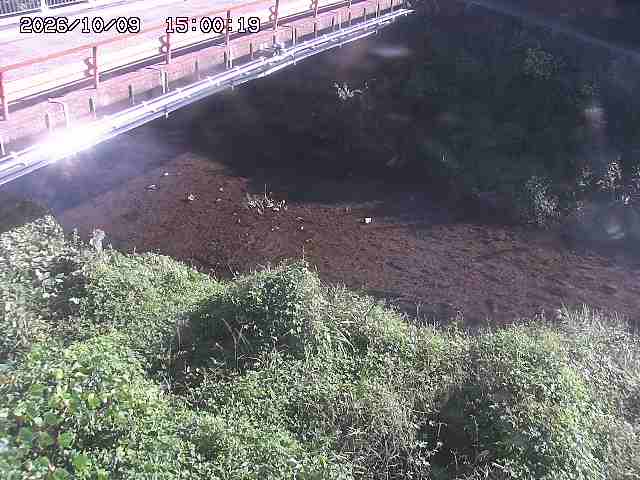 見槻川１2026/10/09 19:40