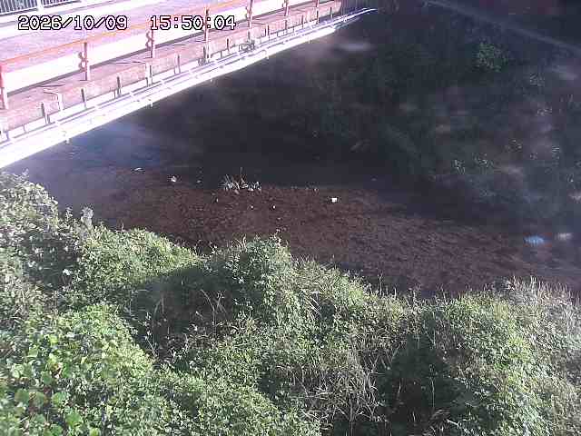 見槻川１2026/10/09 19:40