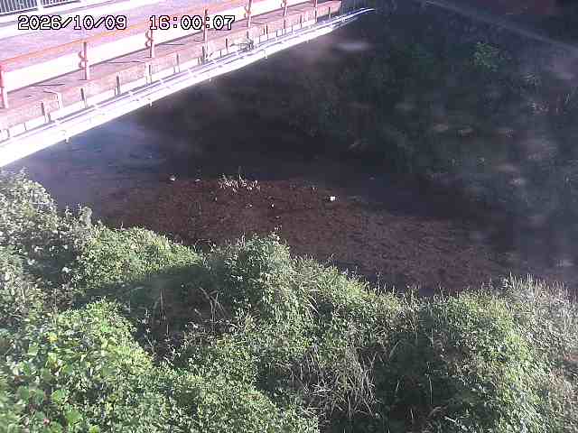 見槻川１2026/10/09 19:40