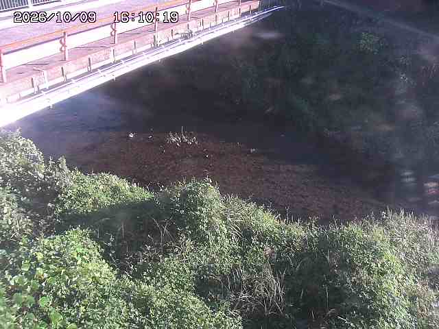 見槻川１2026/10/09 19:40