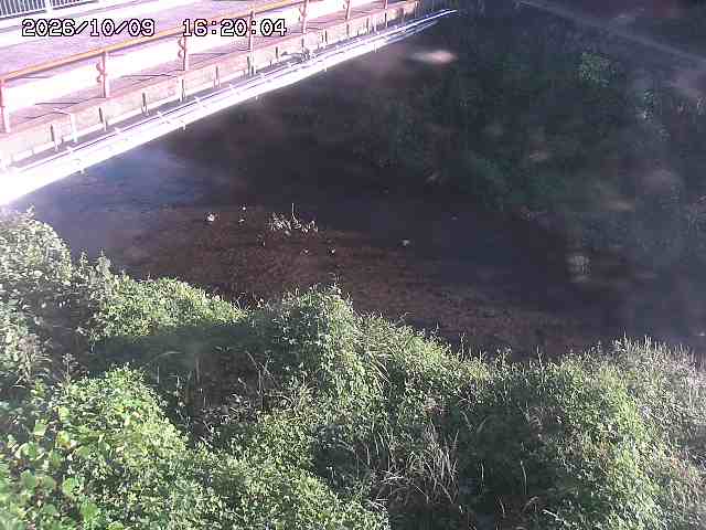 見槻川１2026/10/09 19:40