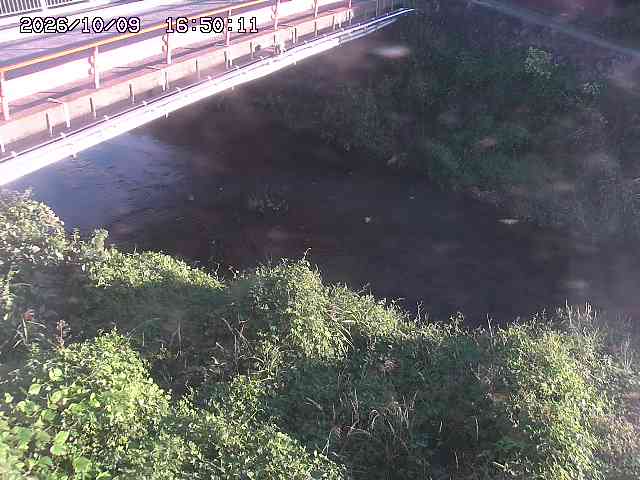 見槻川１2026/10/09 19:40