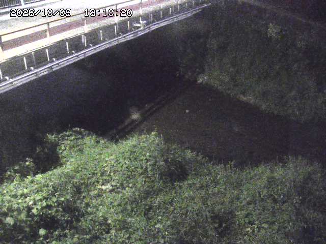 見槻川１2026/10/09 19:40