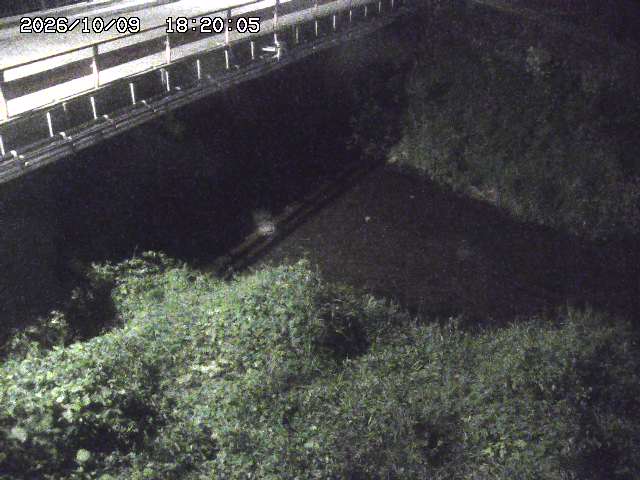 見槻川１2026/10/09 19:40