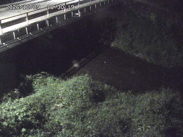 見槻川１2026/10/09 19:40